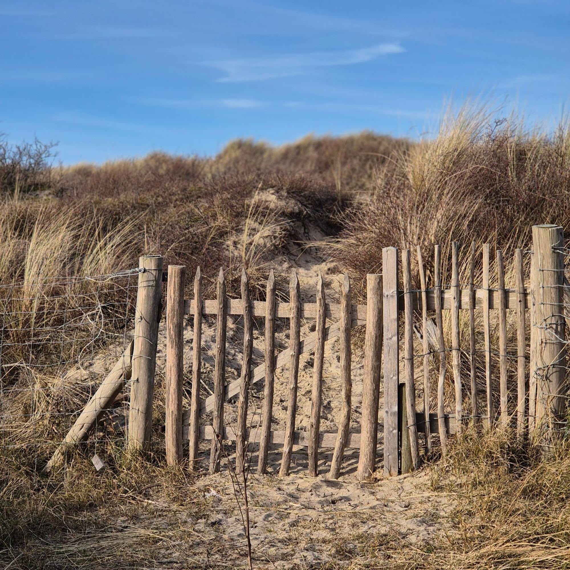 Tiny Villa De Haas Met Infraroodsauna Egmond aan Zee Exteriör bild
